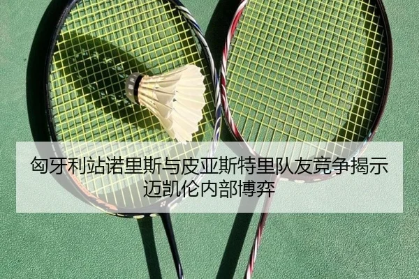 匈牙利站诺里斯与皮亚斯特里队友竞争揭示迈凯伦内部博弈
